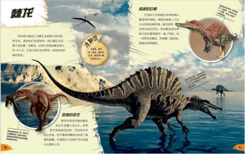 (恐龙的资料大全 了解)探秘恐龙世界:恐龙的资料介绍大全图文资料 (恐龙的资料大全 了解)探秘恐龙世界:恐龙的资料介绍大全图文资料