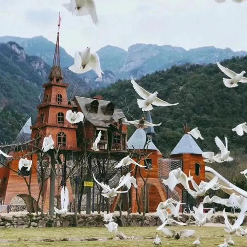 探索流浪城堡的幕后故事：究竟是哪家公司倾力打造了这款游戏？