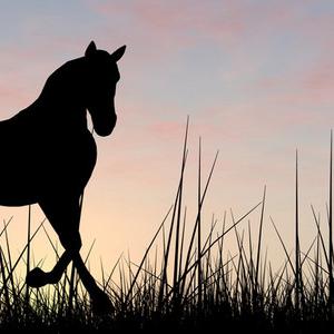 (妖怪名单之前世今生回归判定)妖怪名单：前世今生旧谜团揭晓，重叠命运之轮永恒往复