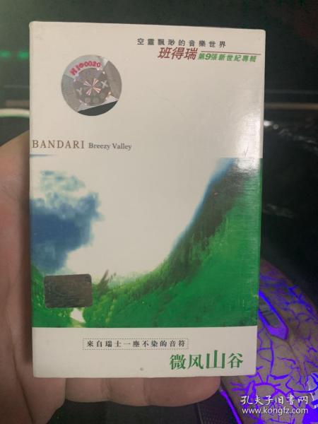 探寻乐章背后的沉思:以班得瑞《寂静之声》为例探讨新世纪音乐对环境保护的影响