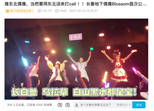 (地下偶像百度百科)在哪里能看地下偶像,地下偶像节目观赏指南