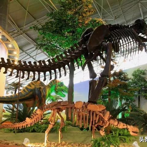 (欢迎43名英雄再次归来,故乡盼您回家)欢迎43名英雄再次归来，故乡盼您回家。