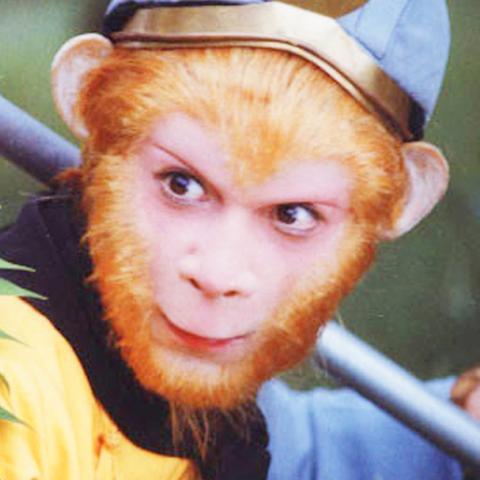 (厉害的妖兽)厉害妖鉴布阵:如何搭配出最强战斗力