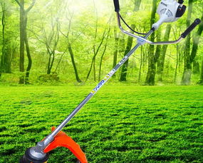 (割草工具图片)割草工具及技巧分享:让你的草坪焕然一新