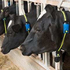 (像素牧场物语布局全图表格)像素牧场物语布局攻略:详解财富最大化与角色发展策略指南 (像素牧场物语布局全图表格)像素牧场物语布局攻略:详解财富最大化与角色发展策略指南