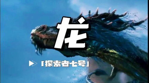 (ffssh)探寻未知之谜:FFSS究竟是什么游戏? (ffssh)探寻未知之谜:FFSS究竟是什么游戏?