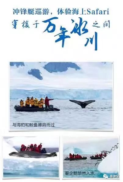 光影同行的含义:在生命旅程中相互扶持,共同探索光与影的奥秘与美丽。