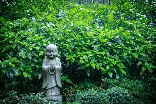 (《猎人》结局)猎人×猎人结局了吗?最终答案揭晓,谁是真正的赢家? (《猎人》结局)猎人×猎人结局了吗?最终答案揭晓,谁是真正的赢家?