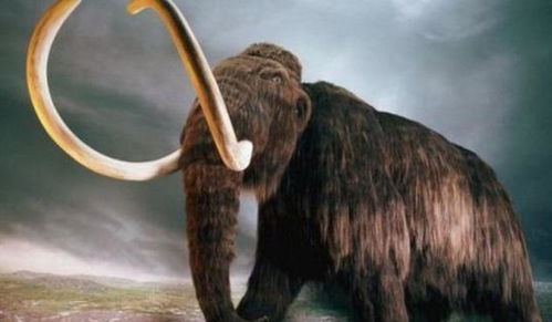 (史前巨兽猛犸象)探寻史前巨象的秘密：猛犸汉化解谜游戏系列手机版