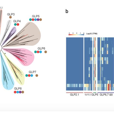 探索自然的秘密:以时间花园植物图鉴为线索,揭示植物演化与时间的奇妙联系 探索自然的秘密:以时间花园植物图鉴为线索,揭示植物演化与时间的奇妙联系