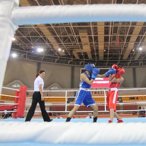 (青少年搏击比赛)决战荣耀青少年搏击赛：挑战未来的拳击之路