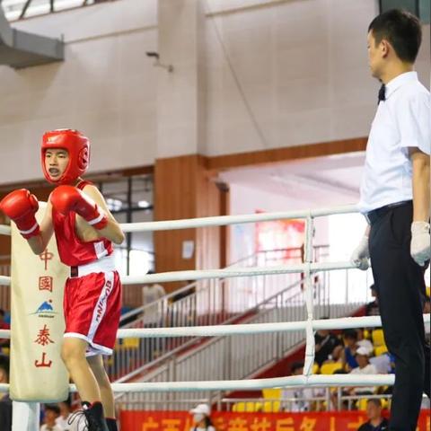 (青少年搏击比赛)决战荣耀青少年搏击赛:挑战未来的拳击之路 (青少年搏击比赛)决战荣耀青少年搏击赛:挑战未来的拳击之路