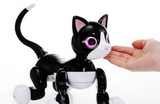 (机器人猫女孩)哪里可以购买猫女机器人？