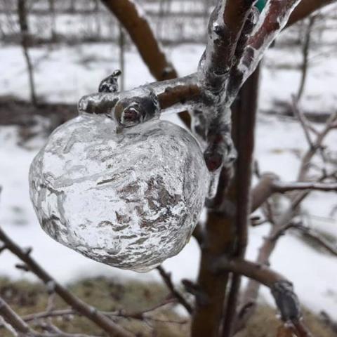 战神：斯巴达幽灵全攻略详解：全流程任务、隐藏要素及技巧分享