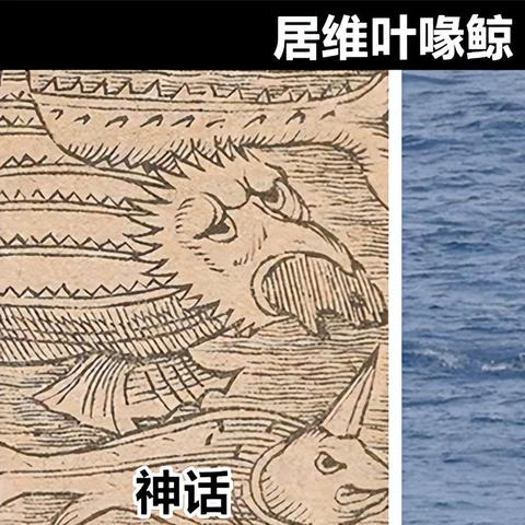 喵话西游游戏：探索奇幻世界，与猫头鹰和猴子一起闯荡神话传说