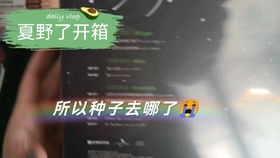 在时光流转中寻找永恒世界保险箱密码：如何保护你最珍贵的秘密？