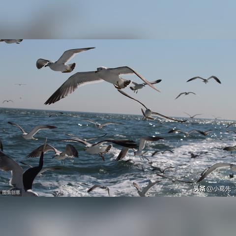 详细指南:如何在谜题大陆游戏中快速切换账号并保护个人信息安全 详细指南:如何在谜题大陆游戏中快速切换账号并保护个人信息安全