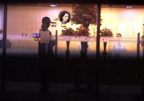 (乔康医馆真相)探秘乔康医馆：全面攻略解读，揭秘其神秘秘密与独特魅力