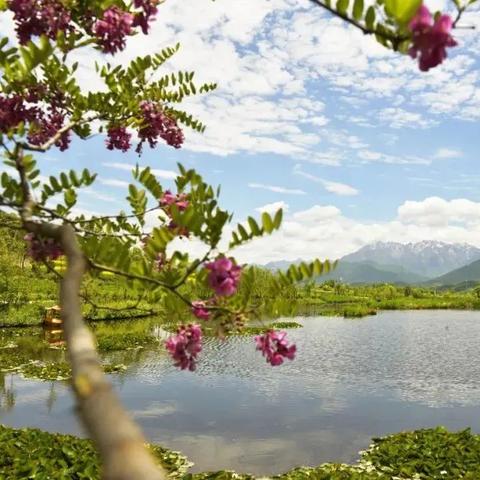 (长白山天池下面)长白山天池底下锁着什么宝藏? (长白山天池下面)长白山天池底下锁着什么宝藏?