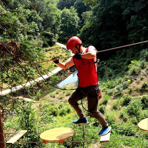 (神秘丛林图片)在神秘丛林中挑战极限：探寻一个人的闯关冒险游戏体验之旅