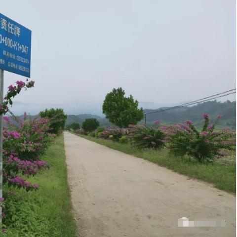 (芒市可以去旅游吗)探析芒市不能去的原因:交通不便是最大障碍。 (芒市可以去旅游吗)探析芒市不能去的原因:交通不便是最大障碍。