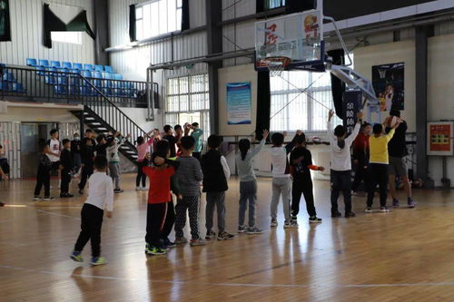 (社区篮球比赛活动方案)社区篮球赛小游戏：街区篮球挑战赛