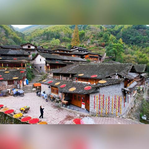 (狩猎野生动物的危害)狩猎的乐趣：体验大自然中野生动物的追逐与捕捉