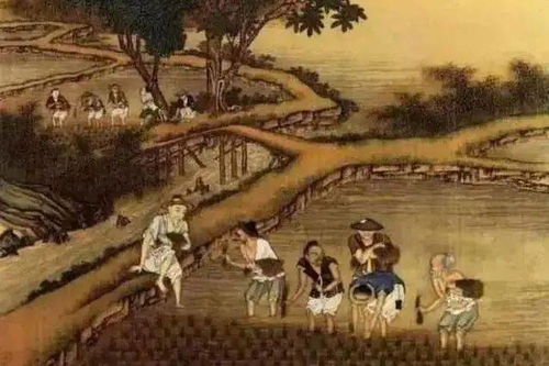 深度解析《人皇纪》：从人皇纪百度百科看中国古代神话与历史的交织