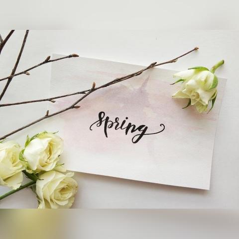 (适合给妈妈讲的睡前故事)温馨晚安系列：给妈妈讲述的美丽梦境——宝宝睡前故事专辑