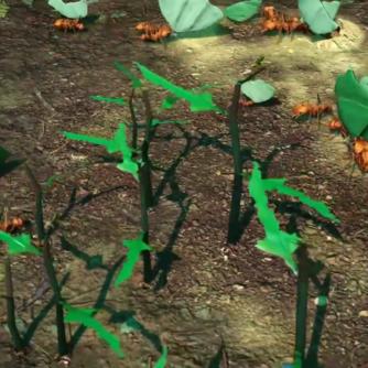 小小蚁国吧：探秘微小世界的奇幻之旅，发现蚂蚁国度的神秘秘密和奇妙生活！