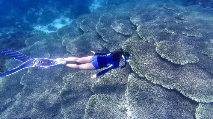 潜水挺能解决什么问题？探索海底世界带来心灵放松和身体健康。