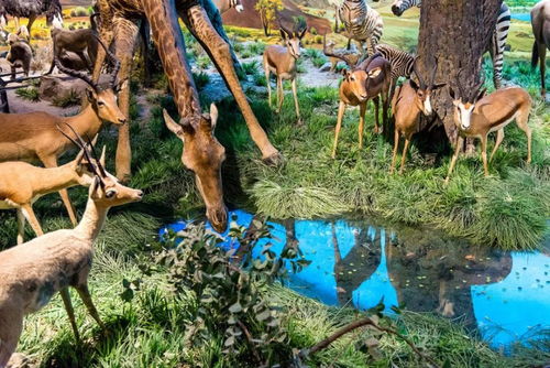 (变异小鹿的照片)探寻未知奥秘：探索变异鹿游戏背后的神秘力量