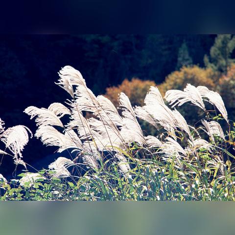 (我旳世界地球)探索我的世界:地球 - 岁月无涯，万物皆有可能