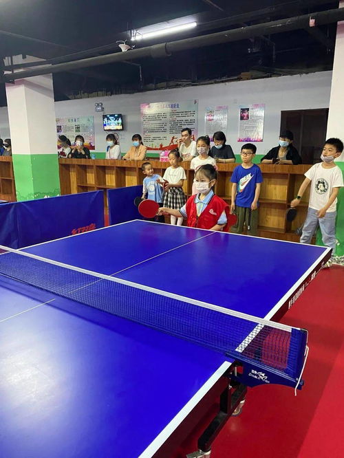 (球球派对怎么进去)畅游球球派对：探索球球派对的最佳地点与活动介绍