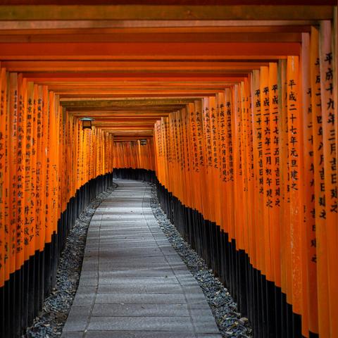 (病病神社建造中免广告)病病神社建造中遇阻，为何看不了广告？解析神秘之谜！