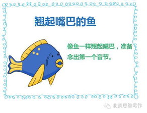 (do怎么发音英语)如何正确发音"dollid"？细节决定成败，不妨来了解一下。