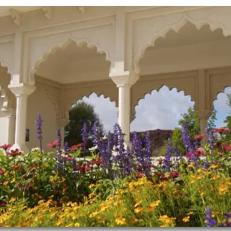 (异界兽医百度百科)异界情缘：兽郎与喵抹的奇幻之旅，命运与爱情交错缠绵