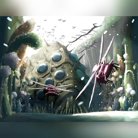 (风之谷说的是什么)风之谷讲的什么故事？探寻这部神秘动画背后的深层内涵与哲理