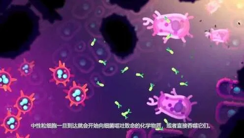 细胞大作战第一季：揭示生命奥秘，带你深度了解人体免疫系统运作机制