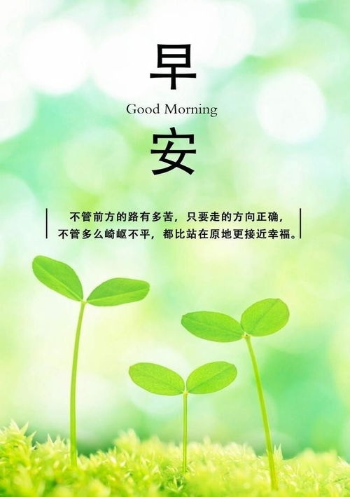 (d姑娘早安是谁)探寻D姑娘早安的真实身份和故事