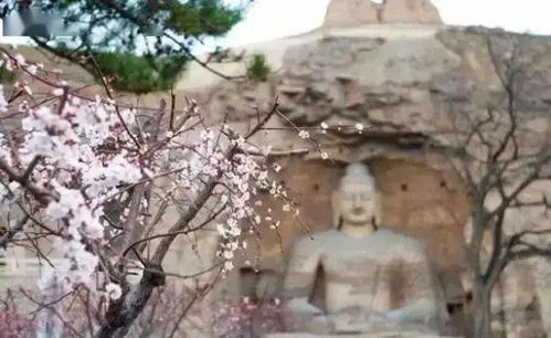 (锦绣山河茶叶礼盒价格)赏味人间瑰宝：锦绣山河茶叶的故事与传承