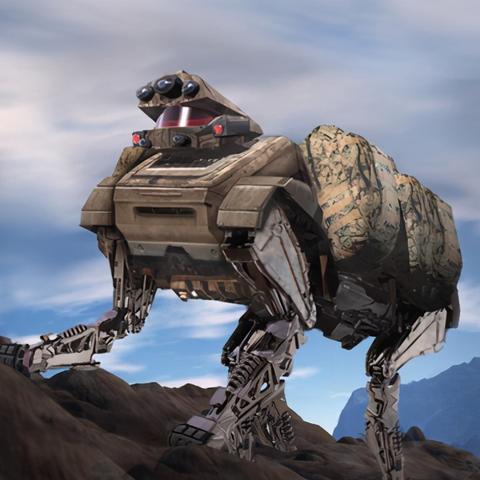 牧羊人之心迷迷，迷失在哪里？在这个多元化的世界里，他们究竟该何去何从？