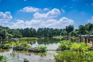 探寻仙境般美丽的阿卡迪亚小区：绿树成荫、宁静优雅的住宅天堂