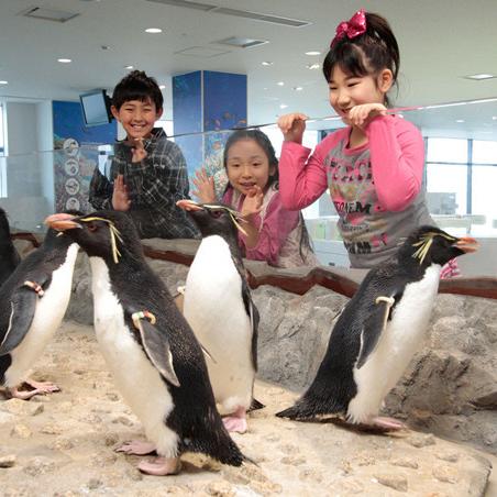 因为台风天气影响,黑潮之上停运了:探究极端气候对日本主要渔业生态和经济影响 因为台风天气影响,黑潮之上停运了:探究极端气候对日本主要渔业生态和经济影响