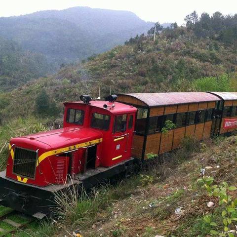 (树木 森林)探索森林王国的奇妙世界：树木、动物与生态的奇幻旅程