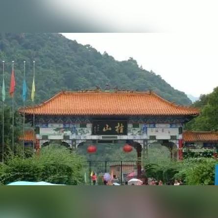 (树木 森林)探索森林王国的奇妙世界:树木、动物与生态的奇幻旅程 (树木 森林)探索森林王国的奇妙世界:树木、动物与生态的奇幻旅程